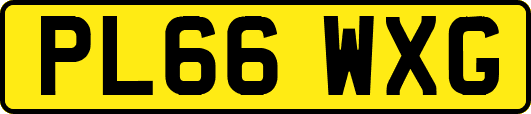 PL66WXG
