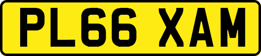 PL66XAM