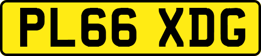 PL66XDG