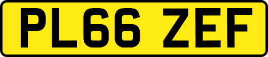 PL66ZEF
