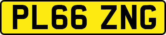 PL66ZNG