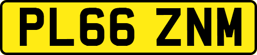 PL66ZNM
