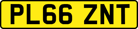 PL66ZNT