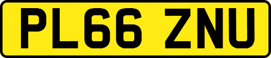 PL66ZNU