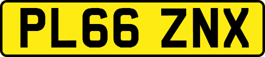 PL66ZNX