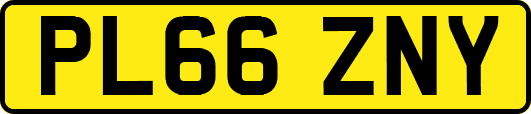 PL66ZNY
