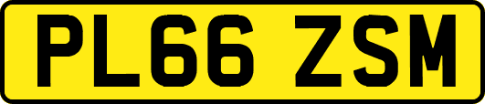 PL66ZSM