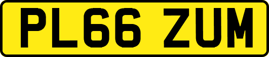 PL66ZUM