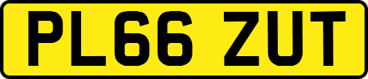 PL66ZUT
