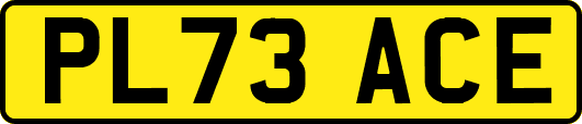 PL73ACE