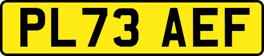 PL73AEF