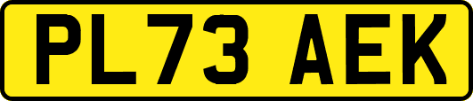 PL73AEK