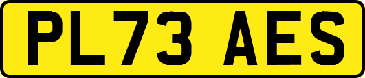 PL73AES