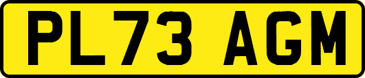 PL73AGM