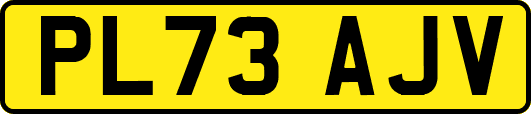 PL73AJV