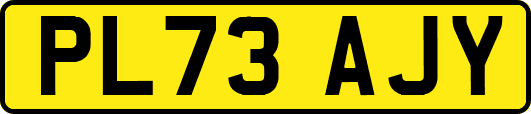 PL73AJY
