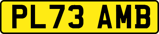 PL73AMB