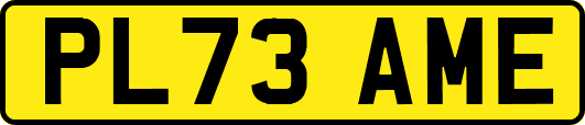 PL73AME