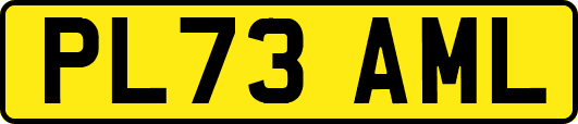 PL73AML