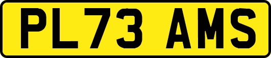 PL73AMS
