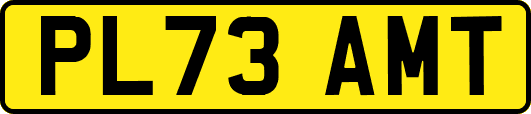 PL73AMT