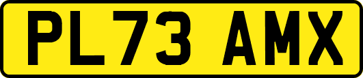 PL73AMX
