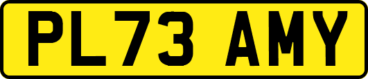 PL73AMY