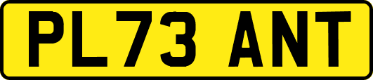 PL73ANT