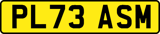 PL73ASM