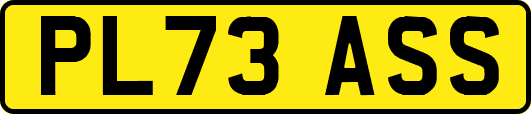 PL73ASS