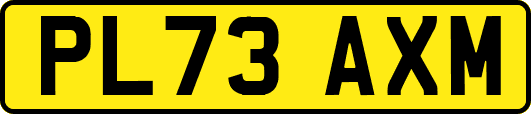 PL73AXM