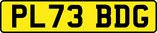 PL73BDG