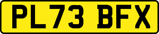 PL73BFX