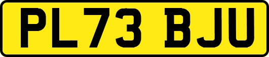 PL73BJU