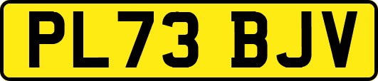 PL73BJV