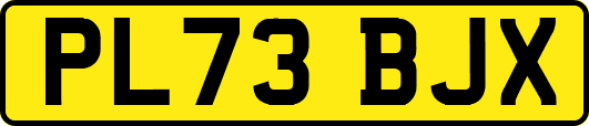 PL73BJX