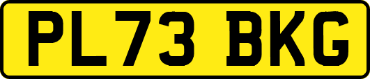 PL73BKG