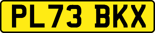 PL73BKX