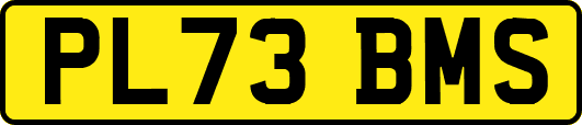 PL73BMS