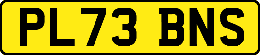 PL73BNS