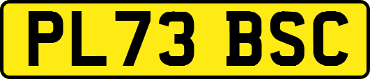 PL73BSC