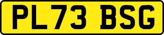PL73BSG