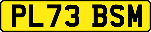 PL73BSM