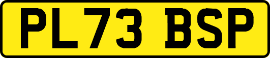 PL73BSP