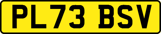 PL73BSV