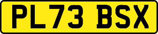 PL73BSX