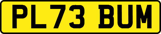PL73BUM