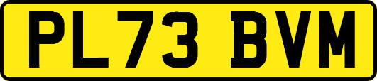PL73BVM