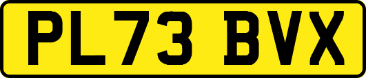 PL73BVX