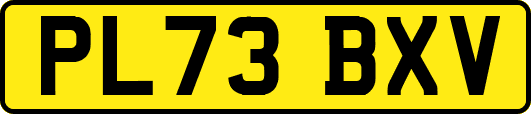PL73BXV